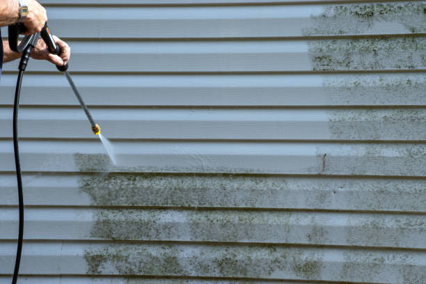 Best Garage Cleanout  in Eddyville, KY