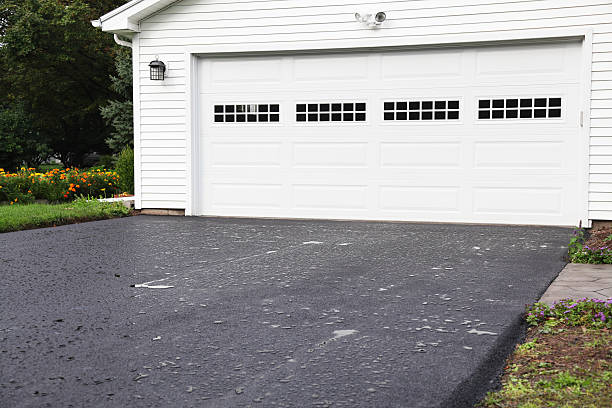 Best Basement Cleanout  in Eddyville, KY