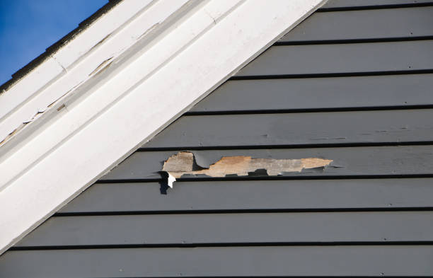 Best Construction Debris Removal  in Eddyville, KY